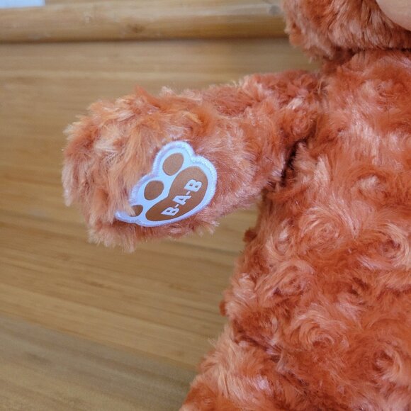 Build A Bear Pumpkin Spice Bear Plush Orange Curly Glitter NWT. Super soft. - Picture 3 of 9